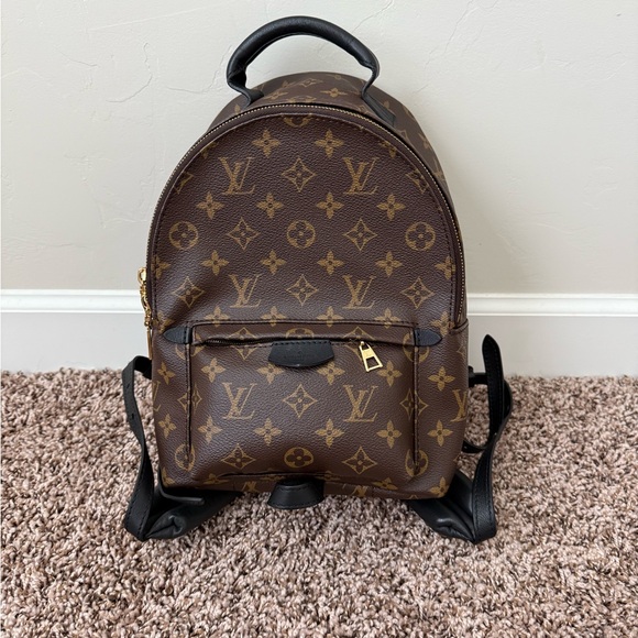 Louis Vuitton Palm Springs PM Backpack - Picture 1 of 5